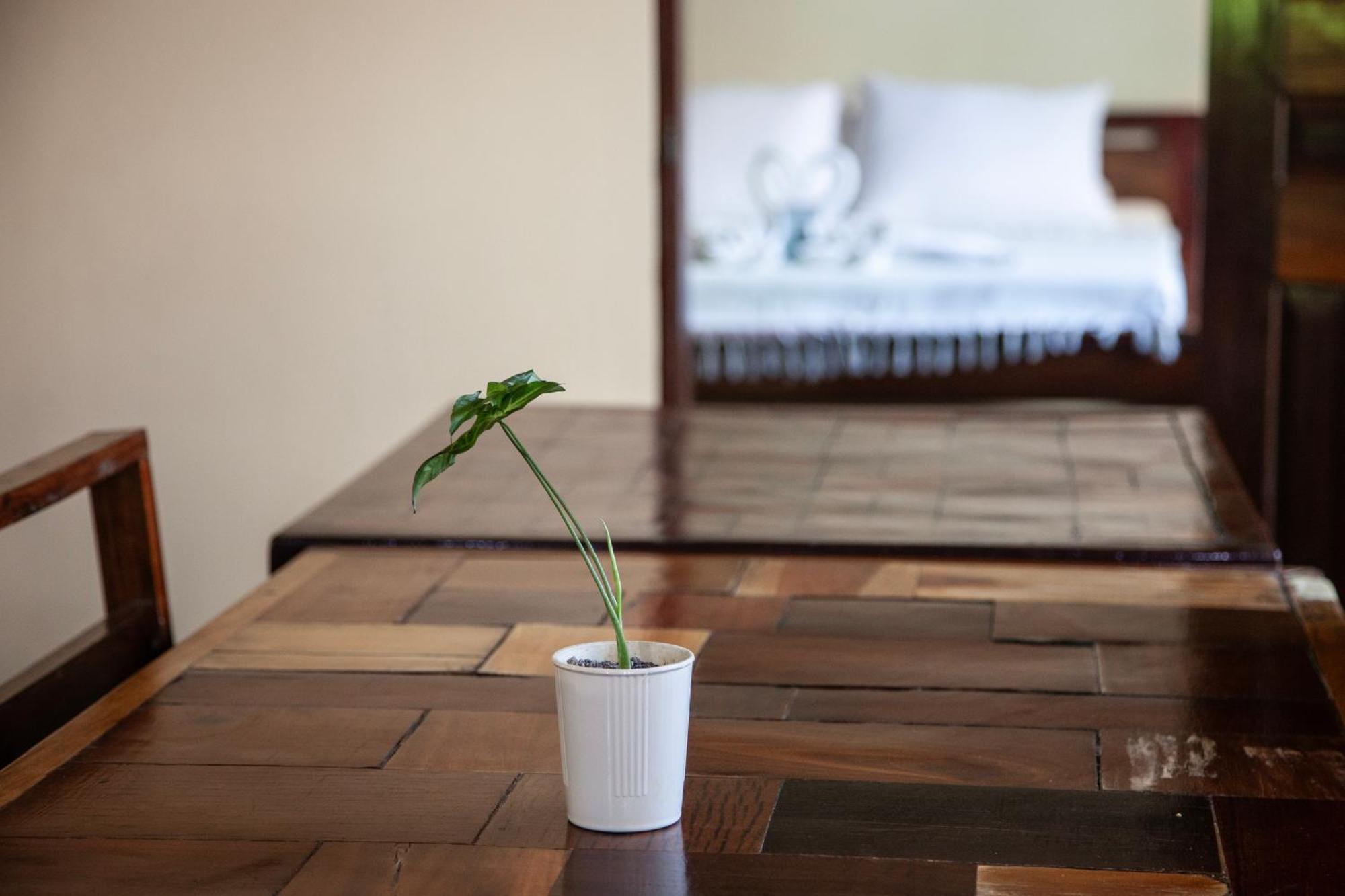 Emerald House Village General Luna  Luaran gambar